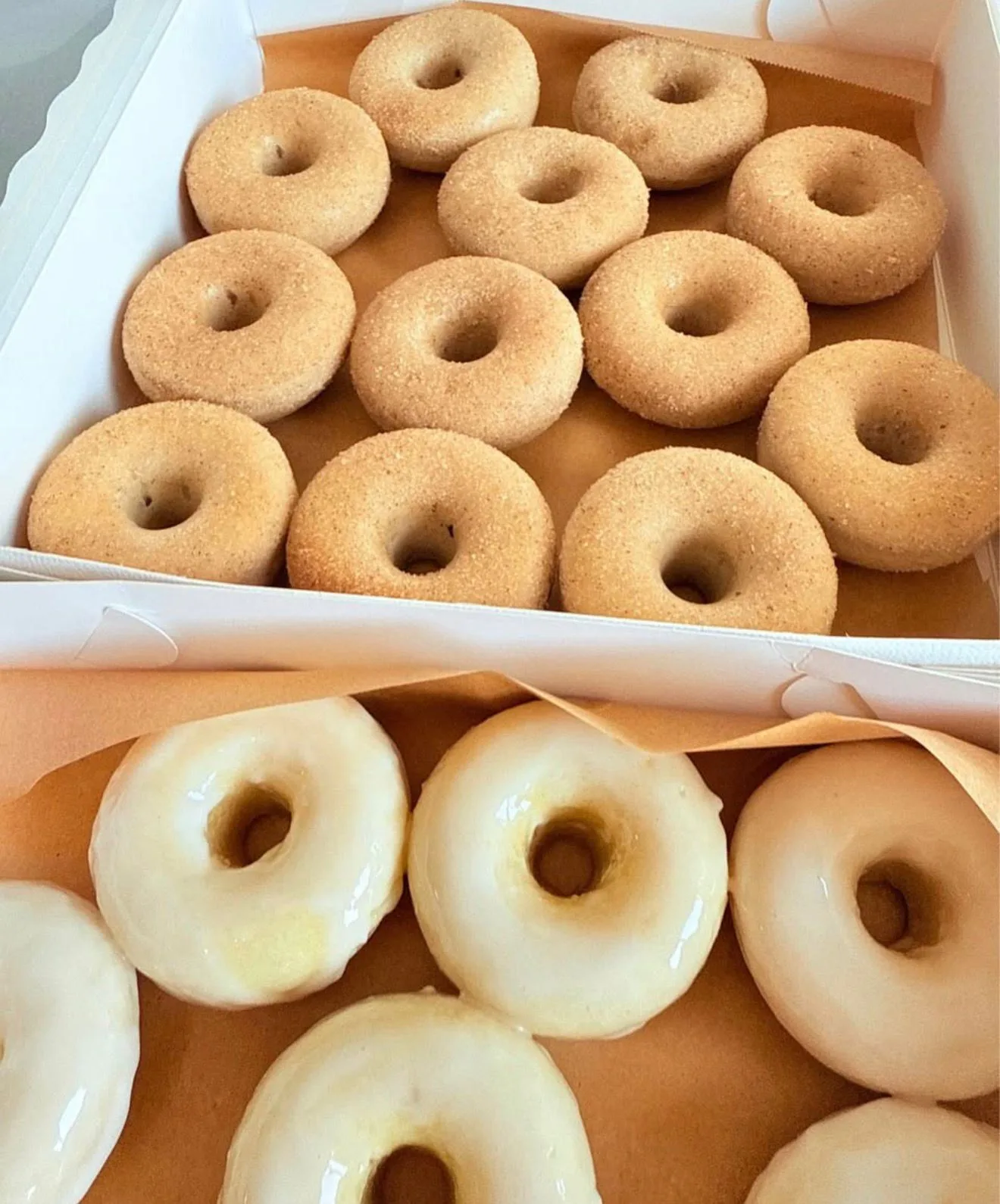 Donuts by Carloti Treats